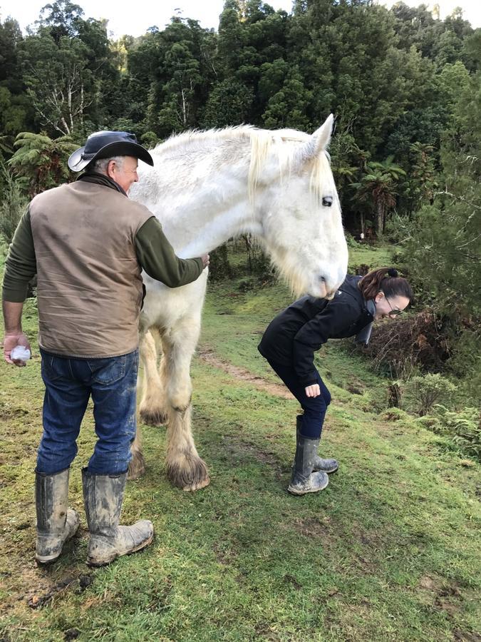 Nightingale Falls Farm Stay Retreat Thames Exteriör bild