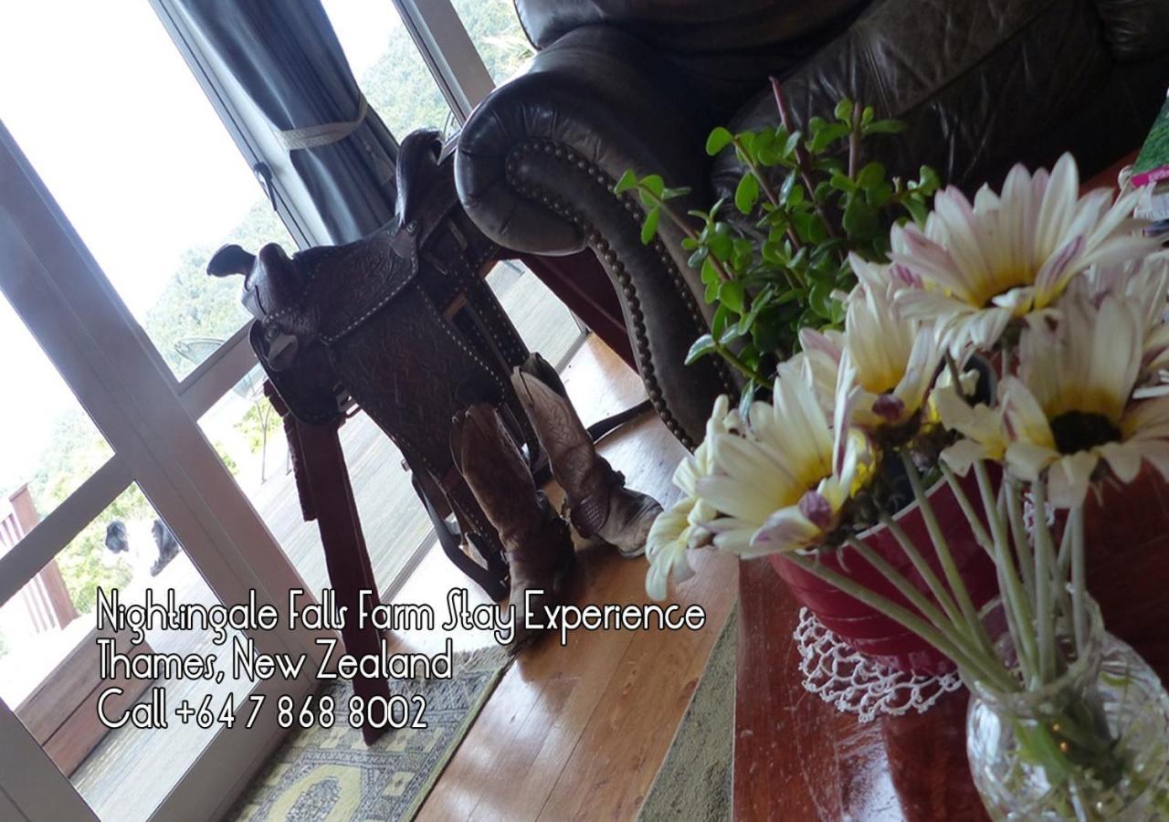 Nightingale Falls Farm Stay Retreat Thames Exteriör bild
